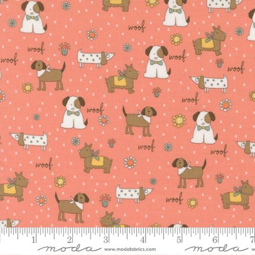 Lucky by Sweetwater