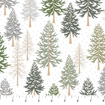 Snowfall
