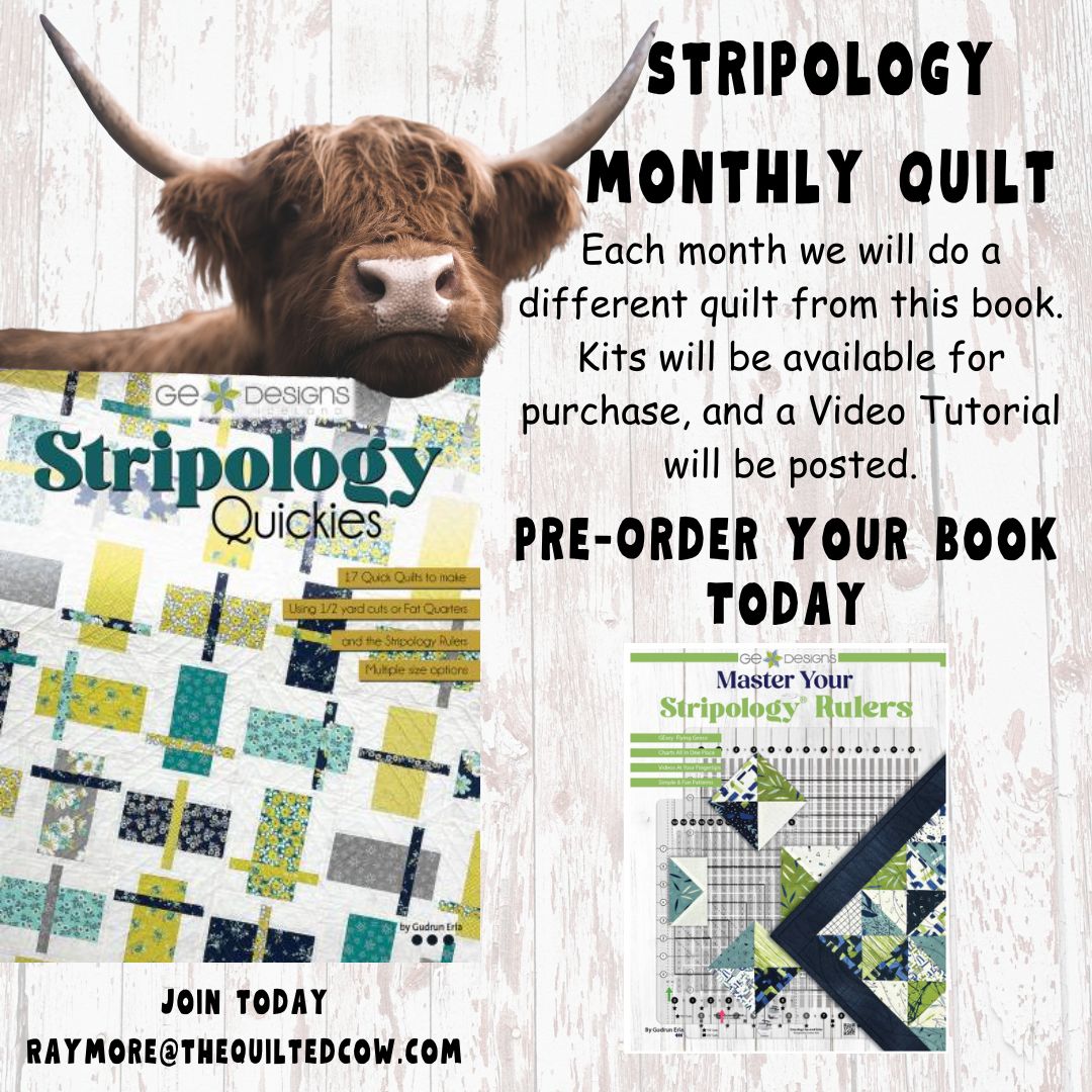 Stripology Quilt of the Month Launch