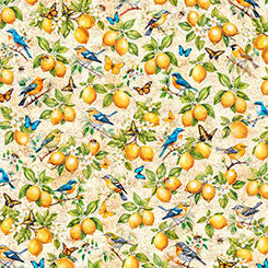 Citrus Bliss