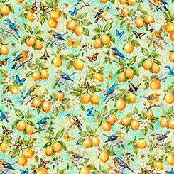 Citrus Bliss