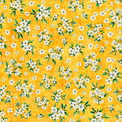 Citrus Bliss