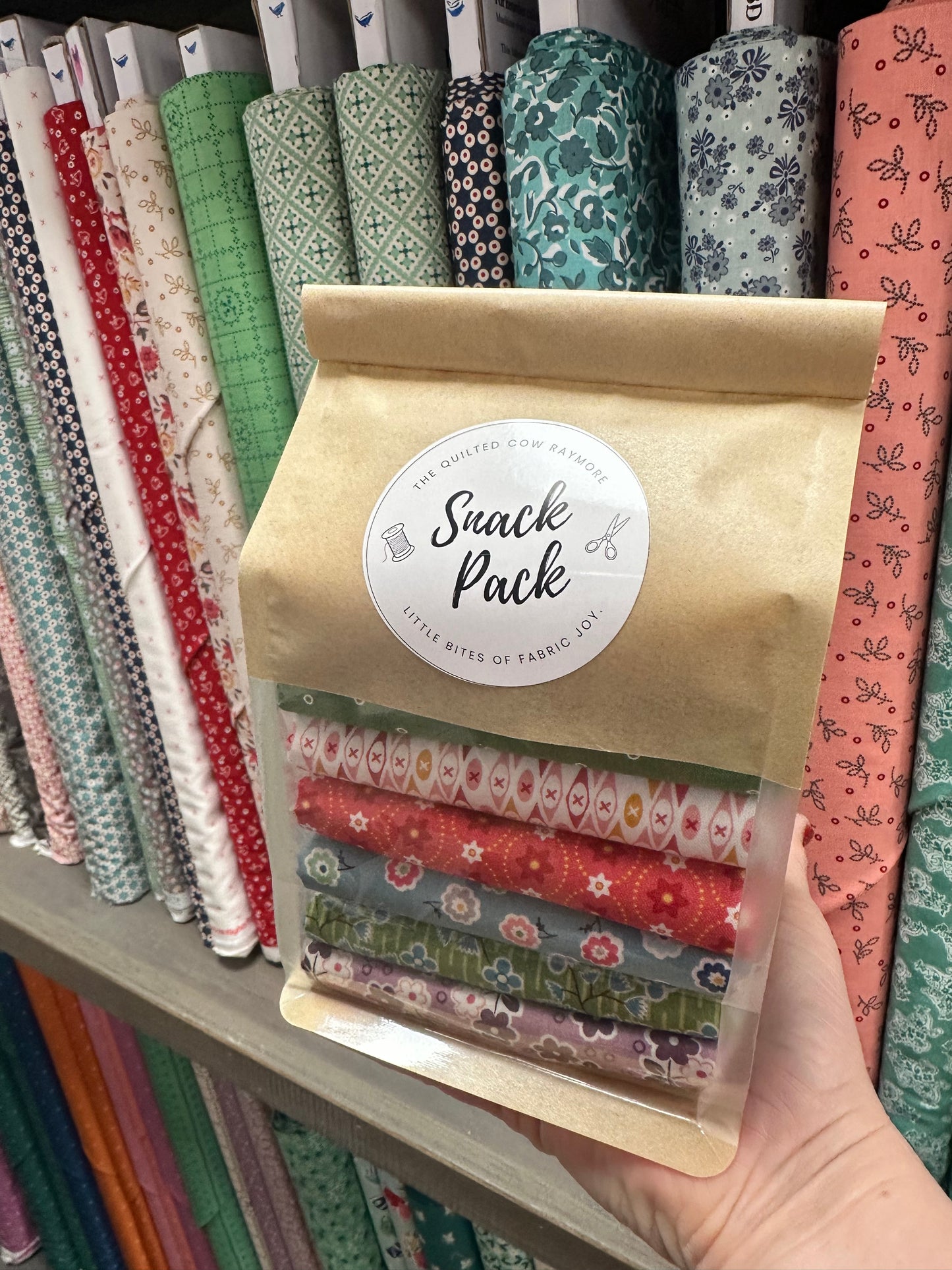 Little Ladies by Tami Jones - Andover Fabric - PRE-ORDER July 2026 RELEASE