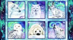 Tales of the Tundra