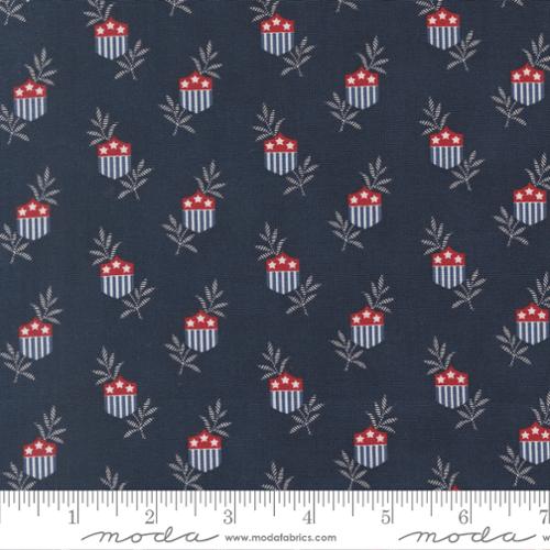 American Gatherings III
