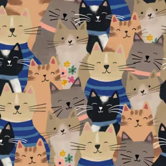 Every Home Every Cat