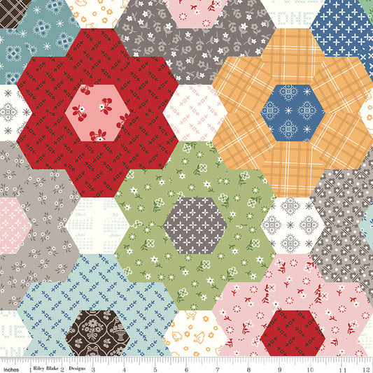 Grandma's Flower Garden 108 - Lori Holt